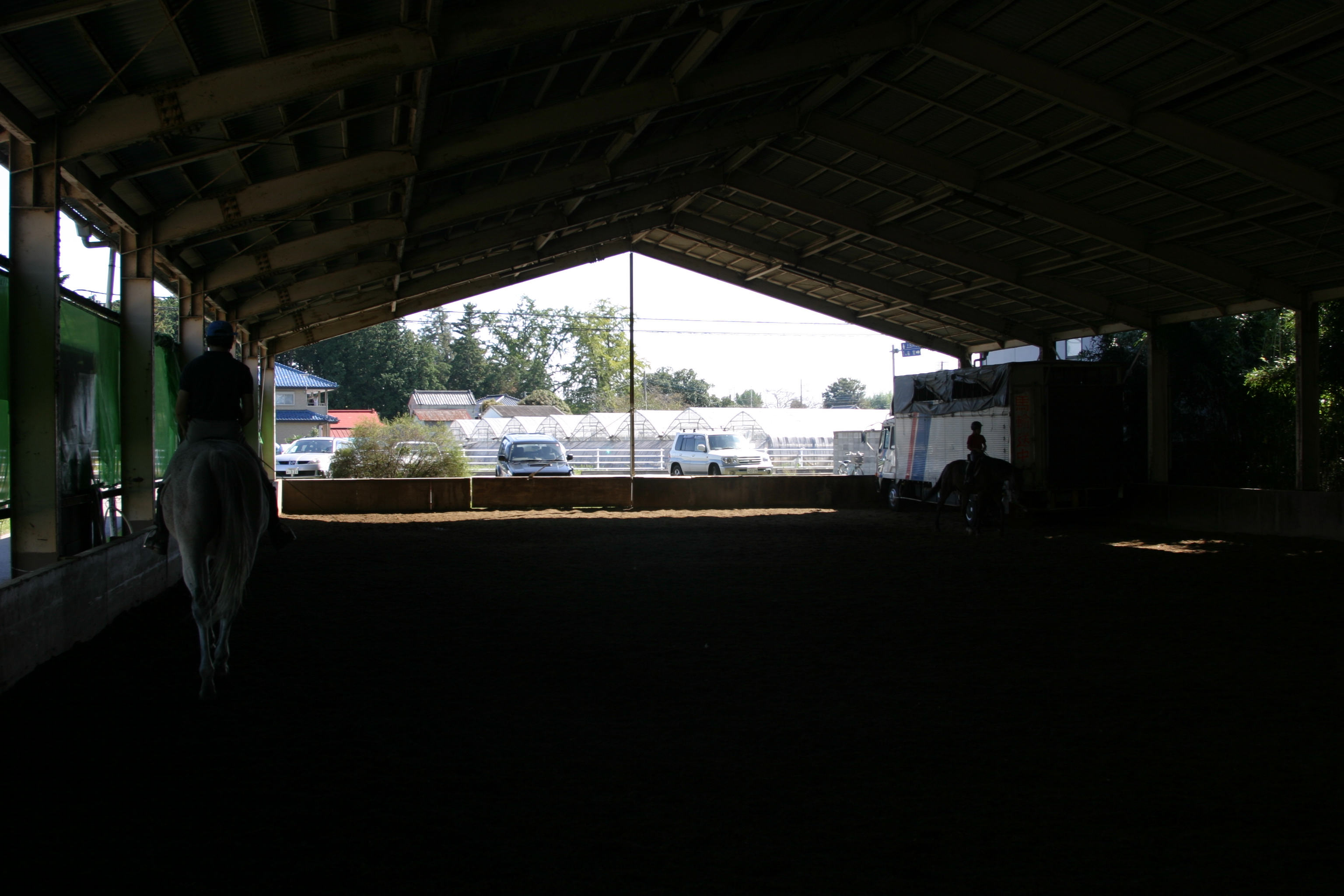 Indoor Arena cool backlit