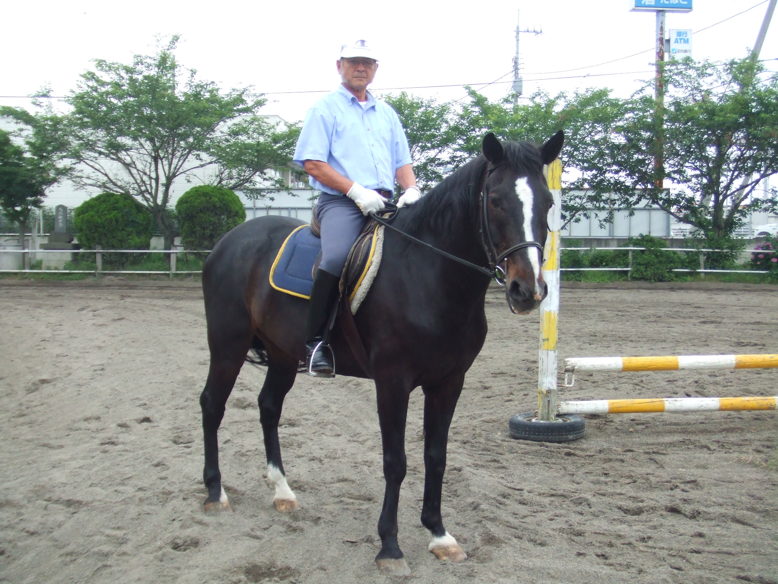 Koji and Horse