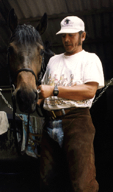 Koji and Horse