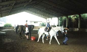 Indoor Arena