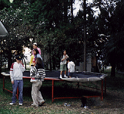 Trampoline